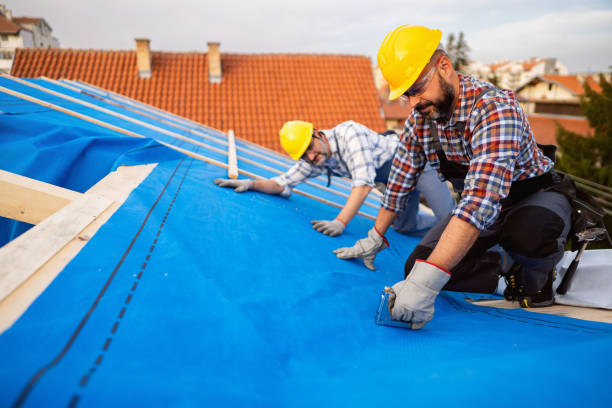 Best Roof Gutter Cleaning  in Port Oconnor, TX